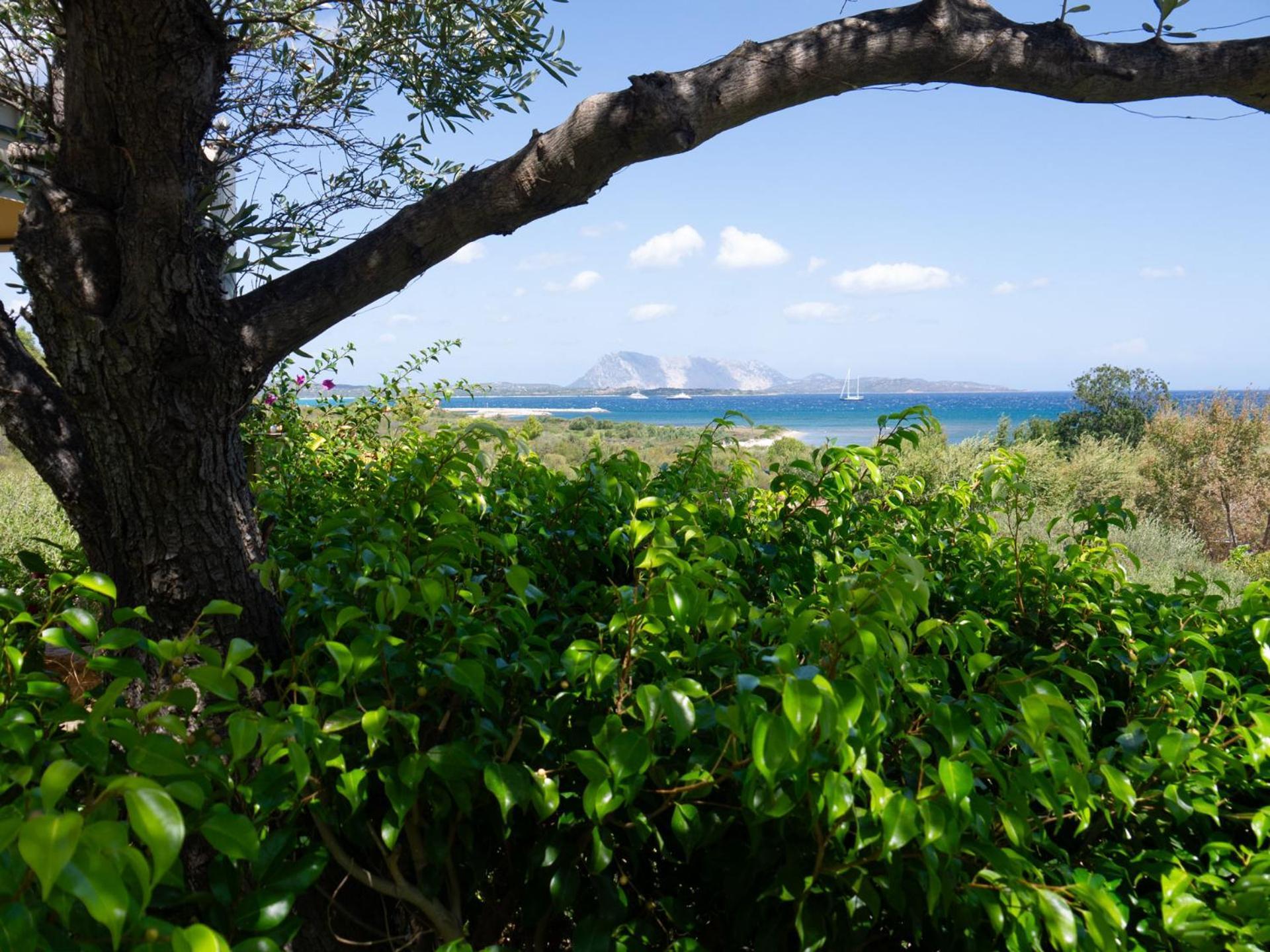 Villa Minda Lodge & View San Teodoro  Zewnętrze zdjęcie